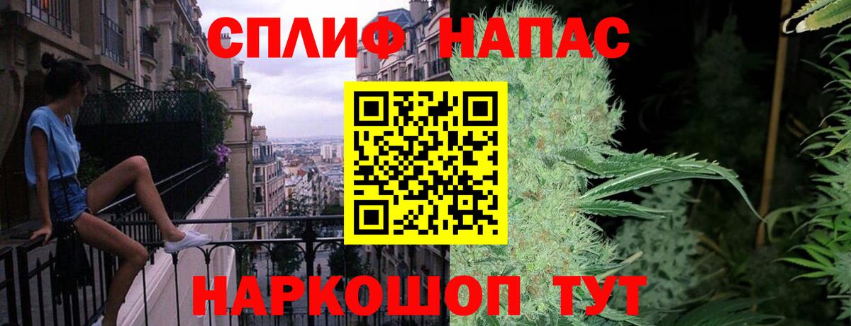 МАРИХУАНА план  Конопля сатива  Вход с VPN  Каннабис планчик  Канабис марихуана  Гусев 